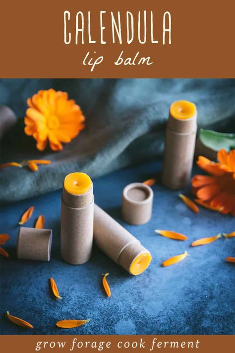 Nourish and protect your lips with this DIY calendula lip balm recipe. Experience the healing benefits of calendula and embrace the magic of homemade skincare. Start your lip care journey today and indulge in the natural goodness of this nourishing balm. Pamper your lips with the power of herbs for health and enjoy soft, supple lips every day. Calendula Recipes, Easy Lip Balm Recipe, Easy Lip Balm, Herbal Lip Balm, Lip Balm Recipe, Diy Lip Balm Recipes, Homemade Skincare, Balm Recipe, Herbal Remedies Recipes