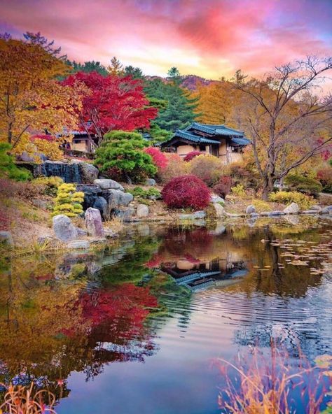 A garden in South Korea Autumn In Korea, Peaceful Garden, Paradise Travel, Earth Pictures, Scenic Photography, Painting Subjects, Nightlife Travel, Booking Flights, Autumn Colors