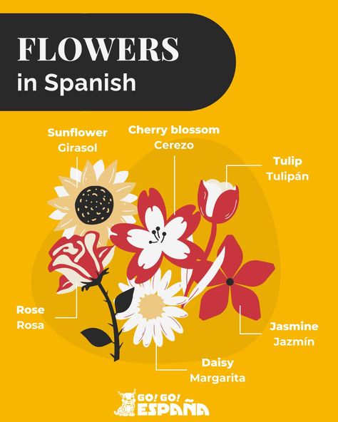 Flower names in Spanish. What is your favourite flower? 🌷 #languagelesson #spanishvocabulary #spanishlanguage Language Families, Spain Spanish, Native Language, Iberian Peninsula, European Languages, Spanish Vocabulary, Flower Names, Language Lessons, Learn Spanish