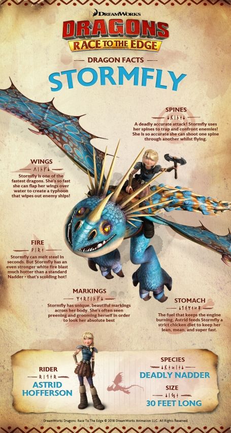 How To Tame Your Dragon, How To Train Your Dragon Book Of Dragons, How To Train Your Dragon Dragons Types, Httyd Dragons Species List, Book Of Dragons Httyd, Httyd Book Of Dragons Pages, Berk Httyd, Stormfly Dragon, Httyd Dragons Species