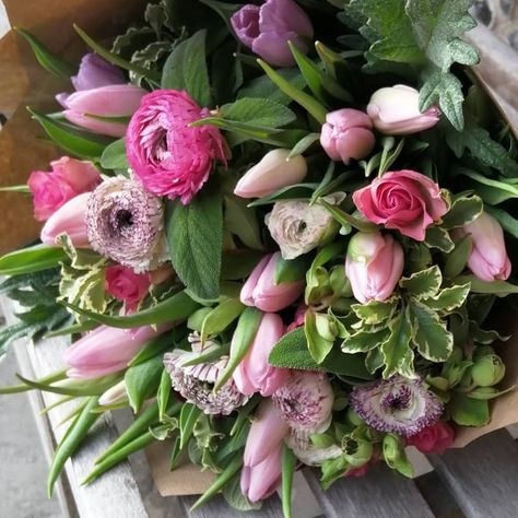 Beautiful hand tied bouquet from Coombe Bissett Blooms using pink ranunculus and tulips Bouquet With Tulips, Bouquet Tulips, Spring Flower Bouquet, Pink Ranunculus, Green Hydrangea, Flower Cart, Hand Tied Bouquet, Tulip Bouquet, Gift Bouquet