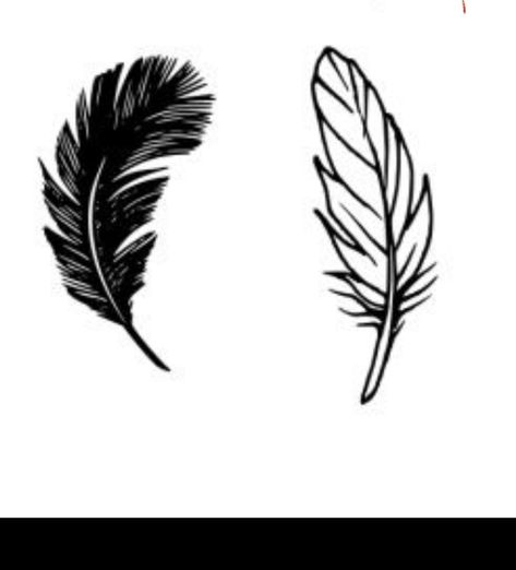 Cartoon Feather, Letters Styles, Graffiti Letters Styles, Graffiti Letters, Feather Tattoo, Graffiti Lettering, Tattoo Ideas, Graffiti, Tattoos