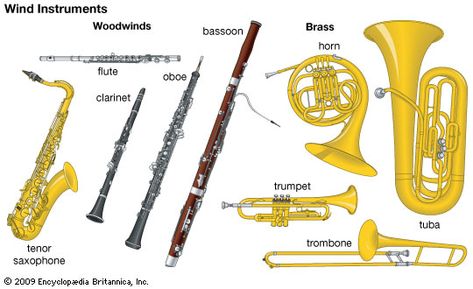 Types Of Instruments, Woodwind Family, Wind Instruments, Woodwind Instruments Aesthetic, Euphonium Instruments, Brass Family Instruments, Tuba Instrument, Flute Instrument, Band Memes Tuba