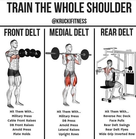 Head Exercises, Deltoid Muscle, Exercise Shoulder, Dumbbell Workout Plan, Deltoid Workout, 300 Workout, Best Shoulder Workout, Shoulder Training, Roast Fish