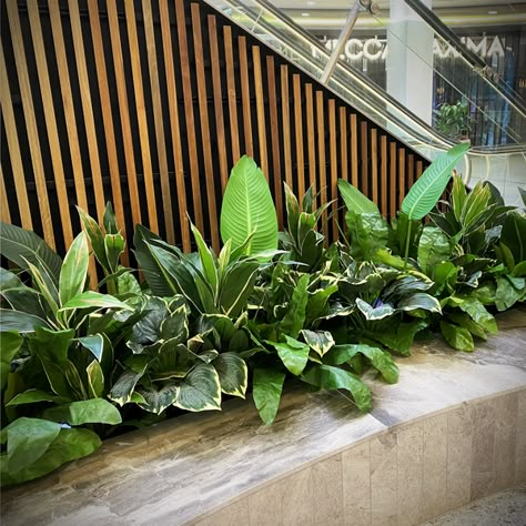 Foyer Plants Entrance, Hotel Bar Design, Indoor Planter Box, Exterior Home Renovation, Office Foyer, Apartment Balcony Garden, Building Entrance, Artificial Greenery, Foyer Design