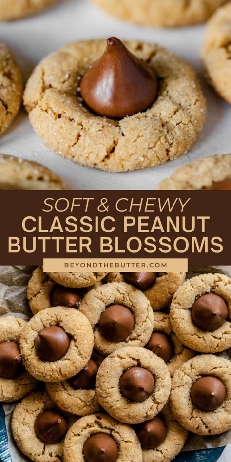 Peanut Butter Blossoms Recipe, Peanut Butter Blossom, Peanut Butter Blossom Cookies, Chewy Peanut Butter Cookies, Blossom Cookies, Peanut Butter Blossoms, Gluten Free Peanut Butter, Hershey Kiss, Christmas Baking Recipes