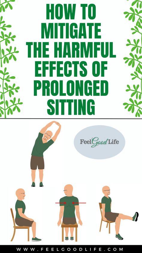 Learn to mitigate the harmful effects of prolonged sitting with our guide on Pinterest. Explore dynamic stretches, movement breaks, and ergonomic tips to reduce strain and improve posture. Discover standing stretches, seated exercises, and optimal desk setups. Ideal for office workers. Click now for strategies to enhance your health and well-being! #HealthySitting #Ergonomics #FitnessTips #WorkplaceWellness Stretches While Sitting, Office Stretches, Stretches For Sedentary Jobs, Desk Stretches, Office Stretches Desk Exercises, Assisted Stretching Techniques, Osteoporosis Prevention, Swimming Pool Exercises, Neck And Shoulder Exercises