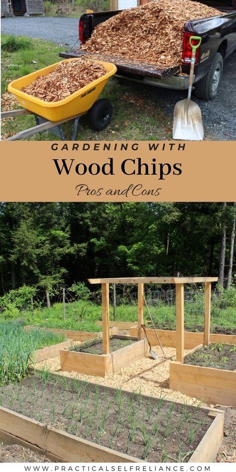 Gardening with Wood Chips Wood Chip Garden, Wood Chips Landscaping, Wood Chips Garden, Fruit Garden Ideas, Growing Vegetables From Seeds, Backyard Permaculture, Back To Eden Gardening, Indoor Seed Starting, Food Not Lawns