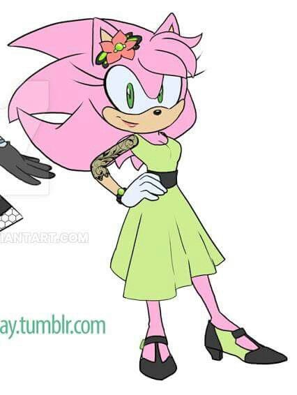 Aurora the hedgehog Sonic Boom Amy, Funny Sonic, Sonic Collection, Aurora Rose, Sonic And Amy, Sonic Funny, Sonic Fan Characters, Disney Princess Drawings, Sonic 3