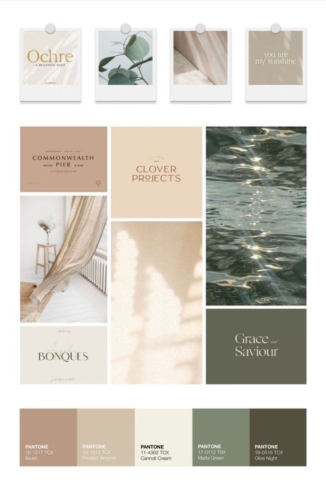 Branding Colour Palette Mood Boards, Best Logo Color Palette, Interior Decor Logo Design, Color Palette For Branding Mood Boards, Branding Palette Colour Schemes, Website Design Moodboard, Moodboard For Branding, Brand Colour Palette Mood Boards, Branding Colors Mood Boards