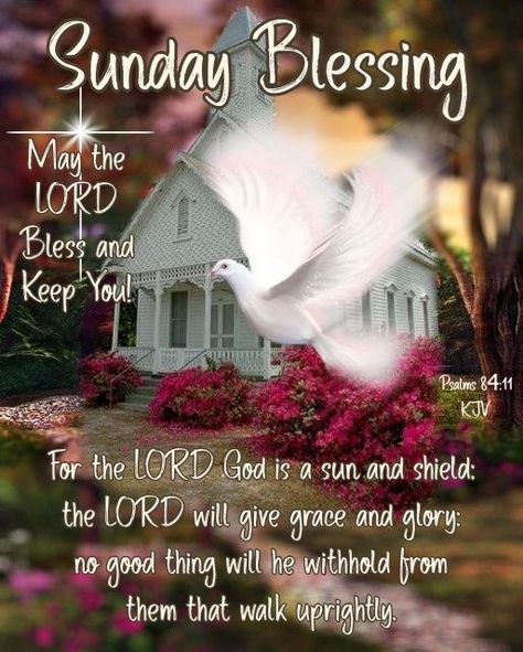 May the lord bless and keep you - Sunday Blessing quotes sunday sunday quotes sunday blessings morning nights days sunday quotes and sayings sunday blessing quotes sunday quotes 2022 sunday images with quotes 2022 sunday pictures with quotes in 2022 sunday blessings 2022 Sunday Greetings Blessing, Sunday Blessings Inspiration, Blessed Sunday Quotes, Quotes Sunday, Blessing Quotes, Sunday Greetings, Sunday Pictures, Sunday Blessings, Sunday Images