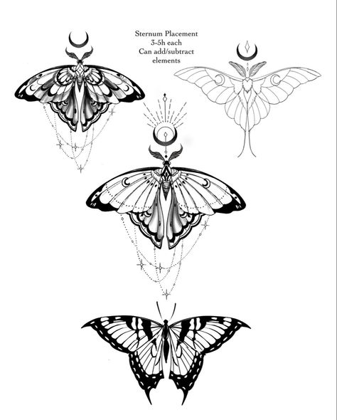 Moth Spine Tattoo, Line Moth Tattoo, Moth Butterfly Tattoo, Moth Butterfly, Buzzy Bee, Flash Sheet, Tattoo Flash Sheet, Moth Tattoo, Flash Tattoos