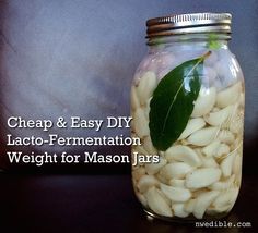 There are three things to manage if you want the most successful lacto-fermented vegetables: Salt levels Fermentation temperature Oxygen exposure When it comes to that third thing - oxygen exposure... Probiotic Pickles, Pie Weights, Lacto Fermentation, Fermented Food Recipes, Lacto Fermented, Fermenting Weights, Low Sodium Recipes Blood Pressure, Cultured Food, Fermented Veggies