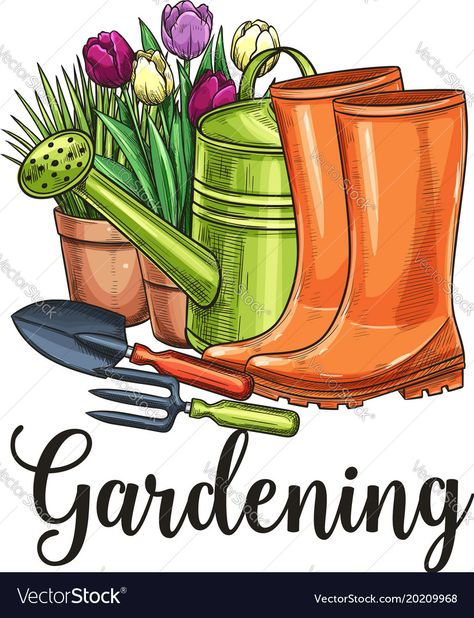 Watering Can Flowers, Tools For Gardening, Can Flowers, Flowers In Pots, Garden Tools Diy, Garden Clipart, Pots Garden, Garden Drawing, Magic Garden