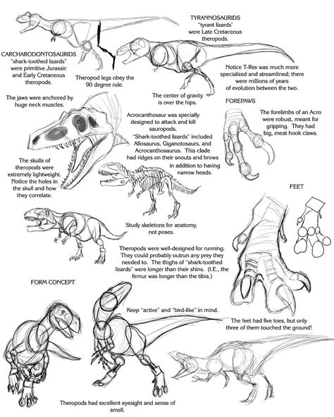 Raptor Art Reference, Leaping Drawing Reference, Scary Dinosaur Drawing, Dino Feet Drawing, How To Draw A Raptor, Raptor Drawing Reference, Dinosaur How To Draw, Dinosaur Anatomy Drawing, Dinosaur Reference Drawing