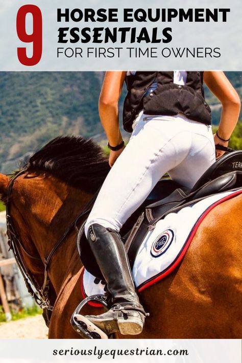 Horse Essentials, Horse Jumping Exercises, Jumping Exercises, Riding Exercises, Horseback Riding Tips, Bareback Riding, Horse Riding Quotes, Summer Vision, Riding Tips