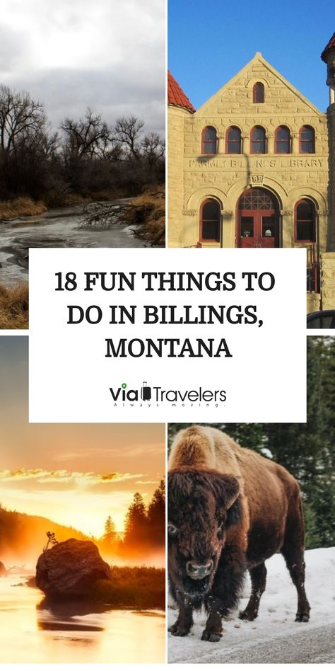 Check out our list of the best things to do in Billings! This city caters to multiple tastes from outdoor activities to shops and restaurants. Yellowstone River, Billings Montana, Indoor Waterpark, This City, Big Sky, Yellowstone National, Yellowstone National Park, Travel Lifestyle, Water Park