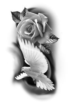 Dove And Roses Tattoo, Rose Dove Tattoo, Dove Neck Tattoo, Dove And Rose Tattoo, Pigeon Tattoo, Dove Tattoo Design, Realistic Rose Tattoo, Dove Tattoos, Rose Drawing Tattoo