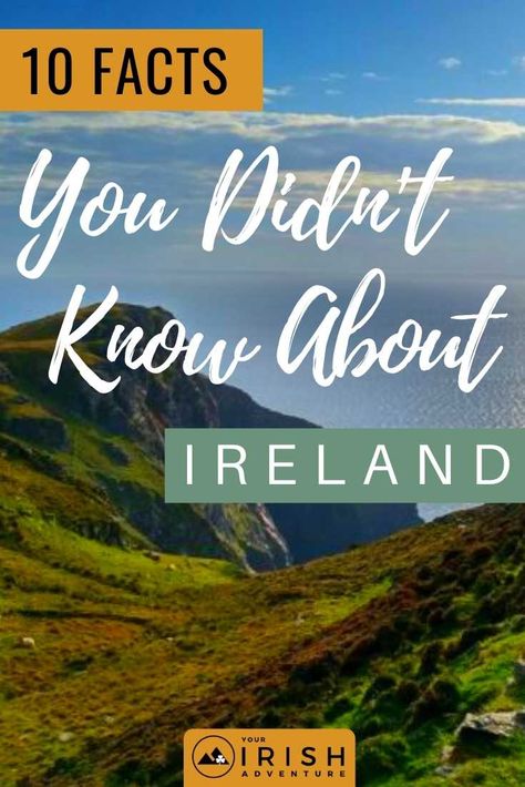 How much do you think you know about Ireland? Add to your knowledge with these 10 facts you didn’t know about Ireland! | #IrishFacts #IrelandTravel #Travel Facts About Ireland, Fun Facts About Ireland, Irish History Facts, Ireland Tourist Attractions, Ireland Facts, Ireland Culture, County Antrim Ireland, Bizarre Facts, Irish Language