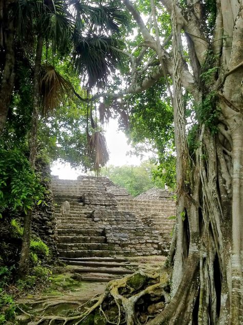 Chacchoben Mayan Ruins Mexico Mayan Ruins, Hiking, Mexico, Ruins