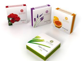 VYVEDAS - Soap Package on Behance