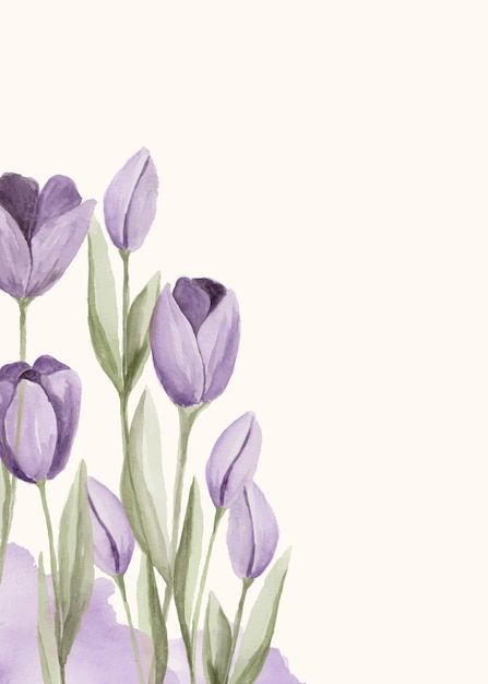 Premium Vector | Manual painted of purple tulip flower watercolor as background frame Watercolor Templates, Tulip Drawing, Watercolor Flower Background, Tulip Painting, Background Frame, Tulips Art, Watercolor Tulips, Watercolor Designs, Planner Art