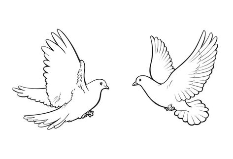 Two Doves Drawing, Turtle Dove Tattoo Matching, Turtle Doves Tattoo, Dove Tattoos For Men, Dove Outline Tattoo, Dove Tattoo Stencil, Dove Outline, Half Sleeve Tattoo Stencils, Dove Tattoo Design