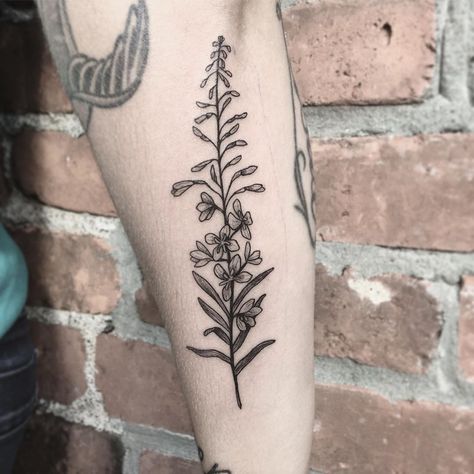 Pioneer Peak Alaska Tattoo, Fireweed Tattoo, Alaska Tattoo, Tattoo Mini, Sister Tattoo, Floral Tattoos, Western Tattoos, Mother Tattoos, Fairy Tattoo