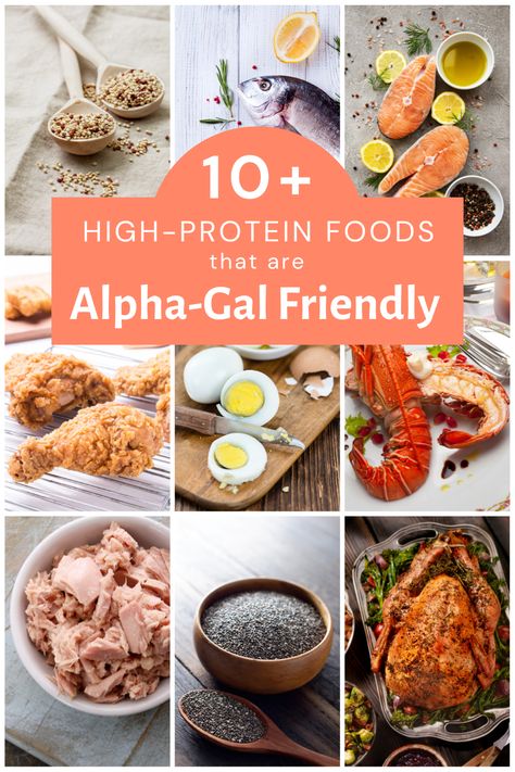 Best Vegetarian Protein Sources, Animal Protein Sources, Best Vegetarian Protein, Vegan Proteins, Alpha Gal, High Protein Foods, Daily Protein Intake, Turkey Cutlets, Cow's Milk