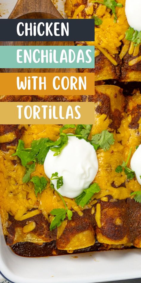 The best enchiladas are made with corn tortillas. I will walk you through how to prepare your tortillas so they don’t come out soggy (or fall apart) and show you how to make easy shredded chicken for your enchiladas. I will also tell you how to prepare the enchiladas, what sauce to use (red), and how long to bake them. This is one of my favorite dinner recipes. Corn Tortillas Enchiladas Chicken, Chicken Enchiladas Easy Corn Tortillas, Chicken Enchilada Corn Tortilla, Chicken Enchilada Recipe Corn Tortillas, Chicken Enchiladas Easy Red Sauce Corn Tortillas, Corn Enchiladas Chicken, Corn Tortilla Enchiladas Chicken, Enchilada Recipe Corn Tortillas, Corn Tortillas Enchiladas