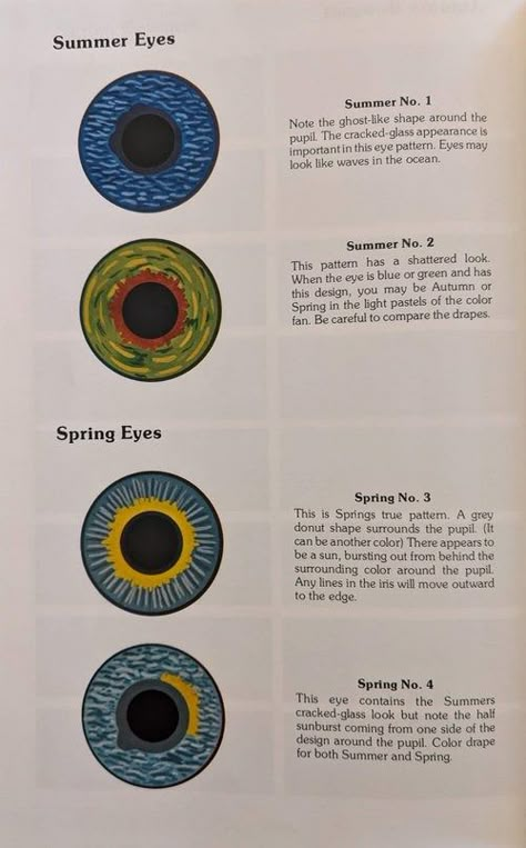 What is a Personal Color Analysis? Will it Help Me Find My Personal Style? — Vermont Wardrobe Styling Seasonal Color Analysis Eyes, Eye Color Season Analysis, Summer Eye Pattern, Winter Eye Pattern, Spring Eye Pattern, Color Analysis Eye Pattern, Eye Pattern Color Analysis, Iridology Reading, Color Analysis Test