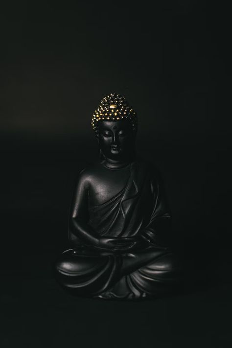 black gautama buddha statue in black background photo – Free India Image on Unsplash Blessing Buddha Wallpaper, Bhudha Image Hd, Blessing Buddha, Buddha Background, Buddha Wallpaper Iphone, Buddhist Quote, Buddha Wallpaper, Buddha Wall Decor, Buddhism Wallpaper