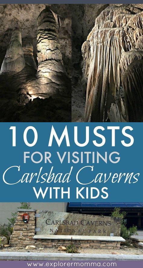 Do you enjoy trips to natural wonders as a family? Visit Carlsbad Caverns with kids and remember the 10 MUSTS that can make or break the trip. Carlsbad Caverns National Park, Carlsbad Caverns, Albuquerque New Mexico, Land Of Enchantment, Family Road Trips, Family Travel Destinations, Mexico Vacation, National Parks Trip, The Trip