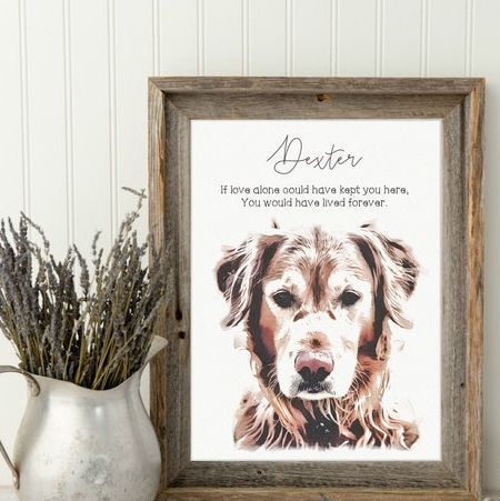 12 Best Pet Memorial Gift Ideas in 2022 - Memorial Gifts for Pets Treats Business, Pet Memorial Picture Frame, Dog Memorial Stone, Pet Bereavement Gifts, Pet Memorial Frames, Doggy Treats, Pet Bereavement, Cat Loss, Pet Memorial Stones