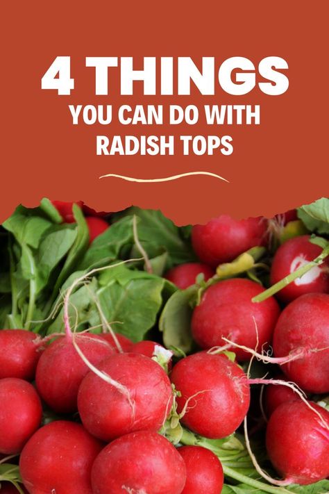 Radish Tops, Radish Leaf Recipes, Radish Leaves Benefits, Radish Leaves, Radish Tops Recipes, Radish Mashed Potatoes, What To Do With Radishes, Radish Greens Recipes, Radish Leaves Recipe