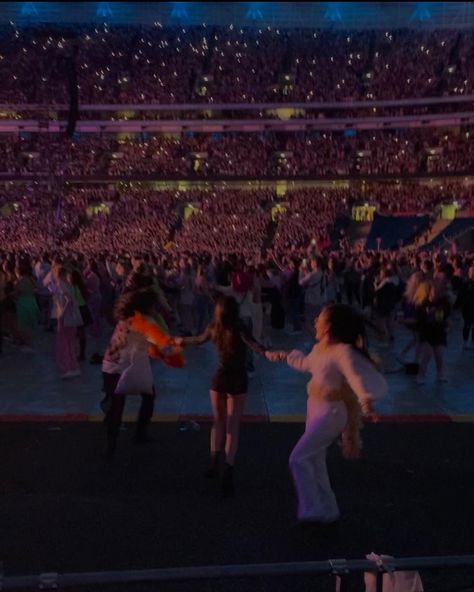 Harry Styles Fans Concert, Love On Tour Crowd, Harrie Core, Fan Girl Aesthetic, Concert With Friends, Harry Styles Concert Aesthetic, Love On Tour Aesthetic, Harry Taylor, Fan Dance