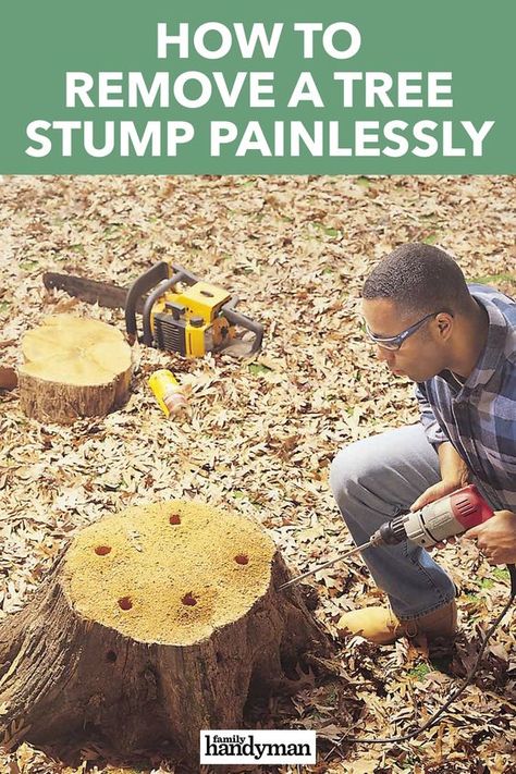 Tree Stump Removal, Yard Ideas Cheap, Yard Ideas Backyard, Stump Removal, Handyman Projects, Astuces Diy, Outdoor Diy Projects, Backyard Diy Projects, Ideas Patio