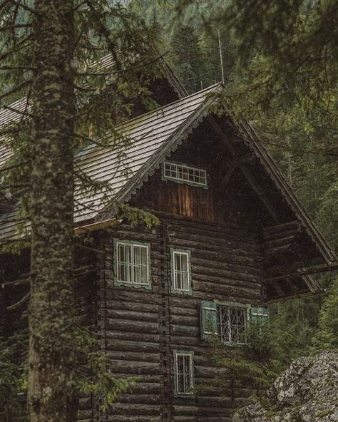 Natalie Place, Forest Cabin Aesthetic, Old House In The Woods, Cabin Core Aesthetic, Selene Aesthetic, Basement Vibes, Madness Poster, Cabin Forest, Green Cabin