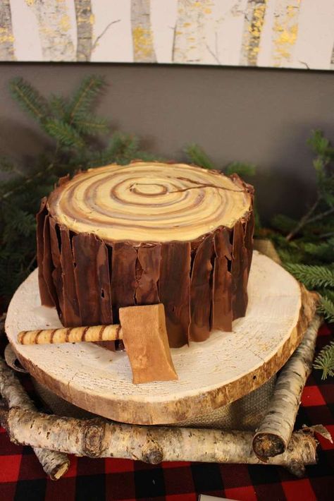 Fairy Birthday Party Ideas, Woodland Fairy Birthday Party, Tree Stump Cake, Woodland Fairy Birthday, Lumberjack Cake, Mushroom Cake, Camping Cakes, Lumberjack Birthday Party, Forest Birthday Party