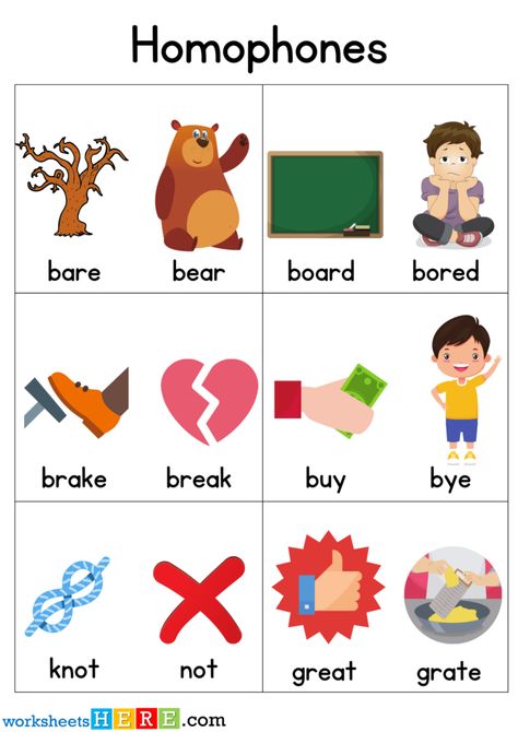 Homophones With Pictures, 100 Homophones Words Worksheets For Students and Kids - WorksheetsHere.com Homophones For Kids, Homonyms Words List, English Homophones, Homonyms Words, Homophones Activity, Homophones Worksheets, Homophones Words, Teaching Literature, Have Fun Teaching