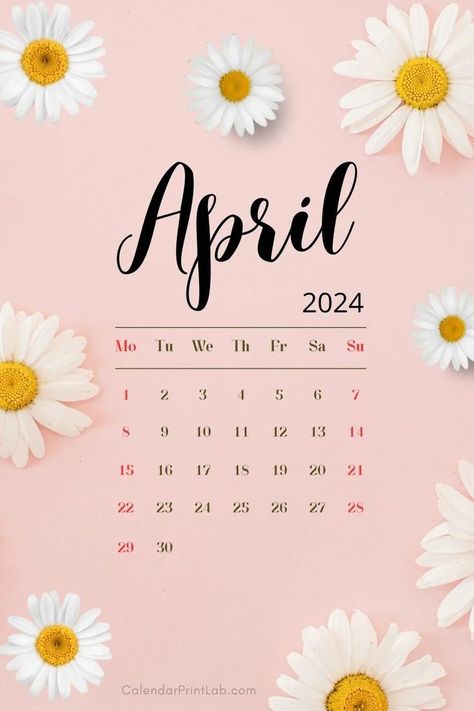 April Wallpaper Aesthetic, Spring Wallpaper Iphone, 25th Anniversary Decorations, Aesthetic Spring Wallpaper, Wallpaper April, April Aesthetic, April Wallpaper, Apple Background, Wallpapers For Mobile Phones