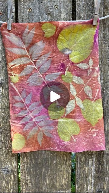 Jamie Young - Natural Dye Educator on Instagram: "Some of my personal favorite natural dye plants for creating eco prints. 🌿🌼 Flowers: hibiscus, cosmos, coreopsis, black knight scabiosa Leaves: cosmos, tree of heaven, geranium, hemp, sumac, Chinese pistache, & redud The truth is, with a good, adjustable mordanting recipe, almost any plant will make a clear beautiful print. The key is being able to match the dye constituents within the plant to the proper mordants. Many plants contain multiple phytochemicals and can create a variety of prints depending on the pretreatment that is used. For instance, a tannin rich leaf such as Chinese pistache, is capable of creating yellow, green, lavender and dark purple prints when slight adjustments are made to the mordant recipe. 🌈 I make this easy Eco Printing Textiles, Tree Of Heaven, Purple Prints, Leaf Dyeing, Flowers Hibiscus, Green Lavender, Jamie Young, Colorful Background, Eco Printing