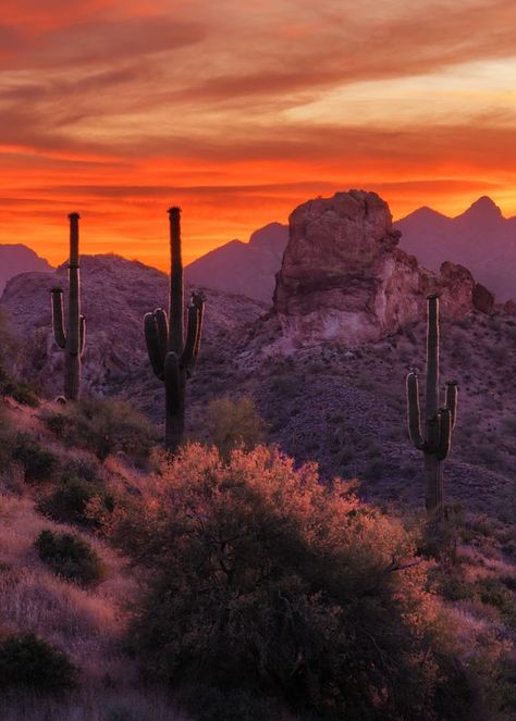 The American Southwest group | My sunset along the Apache Trail in the Goldfield Mountains, Arizona a few days ago. | Facebook Southwest Aesthetic, American Southwest, Aesthetic Pics, Photo Reference, Art Photo, Aesthetic Pictures, Photo Art, Art Ideas, Arizona