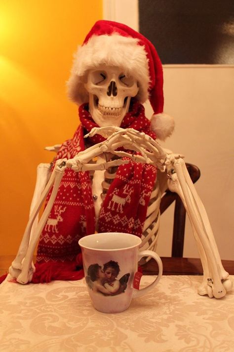 Skeleton Pics, Silly Skeleton, Cool Skeleton, Santa Pictures, Christmas Preparation, Funny Skeleton, Spooky Scary, Really Funny Pictures, Bob Marley