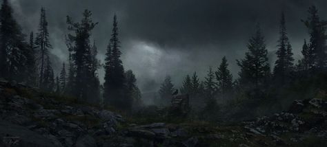 Wooded Landscaping, Gundam Wallpapers, Dirty Air, Sci Fi Horror, 4 Months, Nature Aesthetic, The Witcher, Skyrim, Fantasy Landscape