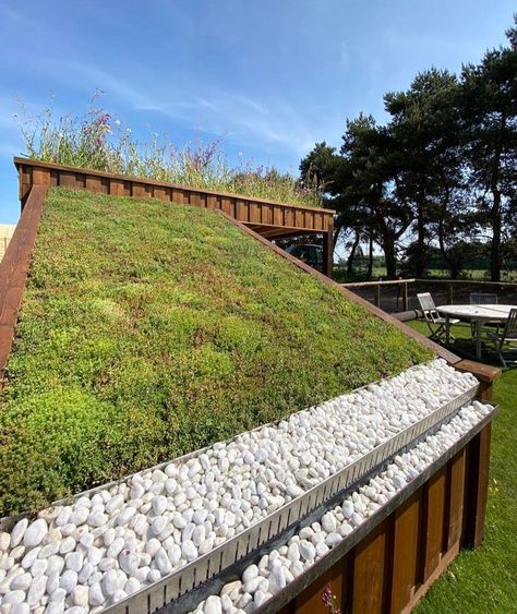 Green Roof Garden, Sedum Roof, Grass Roof, Viking House, Green Roofs, Living Walls, Living Roofs, Earthship, Container House Design