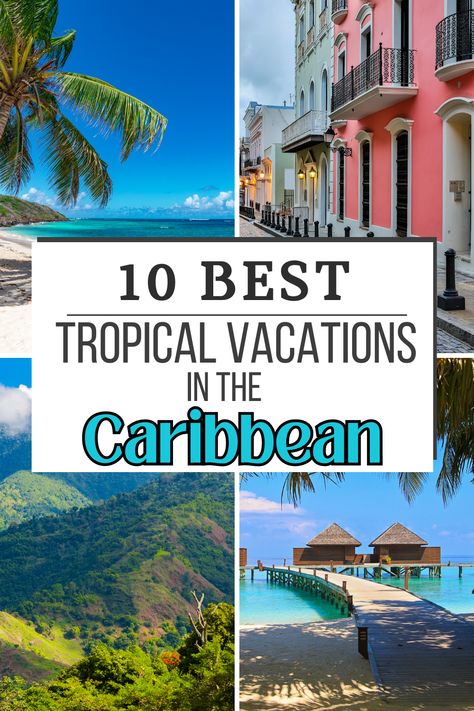 The Top Tropical Vacation Destinations in the Caribbean from relaxing white sand beaches to snorkeling adventures. 

Whether your cruising to the Caribbean of planning a Caribbean Vacation, there is something for you on this list. 

#tropicalvacationdestinations #tropicalvacation #caribbeanvacation #beachday #beach #cruisecaribbean #cruise #caribbean #affiliatelink #tpstravels Tropical Vacation Spots, Best Tropical Vacations, Cruise Caribbean, Tropical Vacation Destinations, Caribbean Vacation, Caribbean Destinations, Tropical Vacations, Tropical Resort, Caribbean Vacations