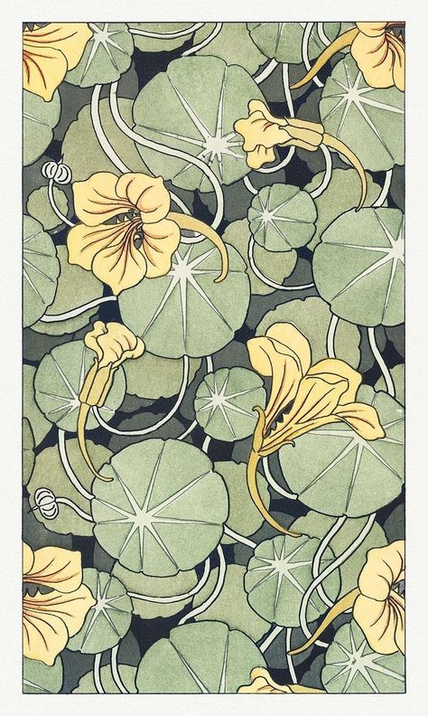 Art Nouveau Flowers Illustration, Art Nouveau Graphic Design, Fiori Art Deco, Nasturtium Flower, Tile Flower, Fleurs Art Nouveau, Motifs Art Nouveau, Different Drawing Styles, Nouveau Tattoo