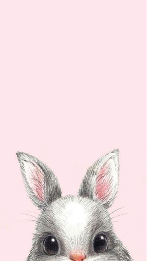 Bunny Iphone Wallpaper, Bunny Aesthetic Wallpaper, Rabbit Background, Bunny Background, Happy Easter Wallpaper, Rabbit Wallpaper, Baby Animal Drawings, Wallpaper Hp, Iphone Wallpaper Video