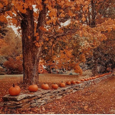 @forever.the.autumn.witch on Instagram: “🎃🍁 by @theharvestmoonwitch . . All photos are from google/pinterest and facebook. I will credit when I know. #fall #autumn #autumnvibes…” Warm Autumn Aesthetic, Outdoor Aesthetic, Autumn Magic, Season Of The Witch, Autumn Scenery, Fall Pictures, Best Seasons, Fall Aesthetic, We Fall In Love